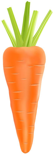 Carrot