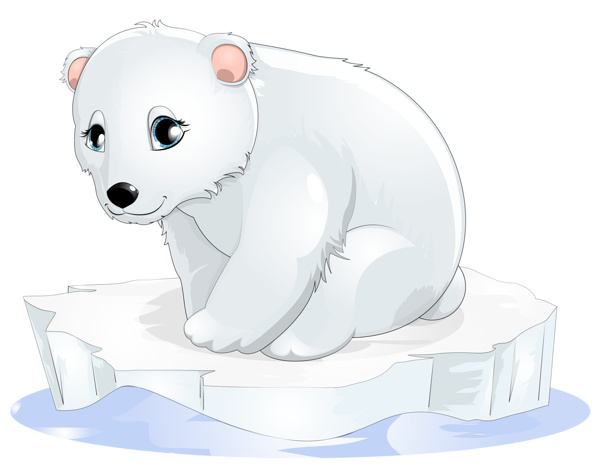 Polar Bear Cold